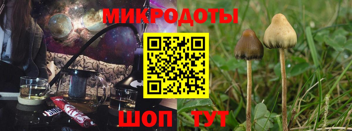 Галлюциногенные грибы мухоморы  Псилоцибиновые грибы Magic Shrooms  Псков  Вход с VPN 